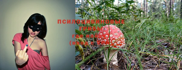 гашиш Аркадак